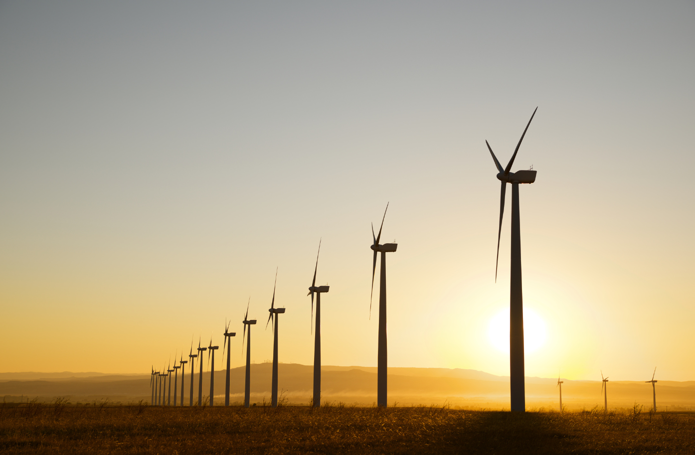 Wind Farm Development and Operations